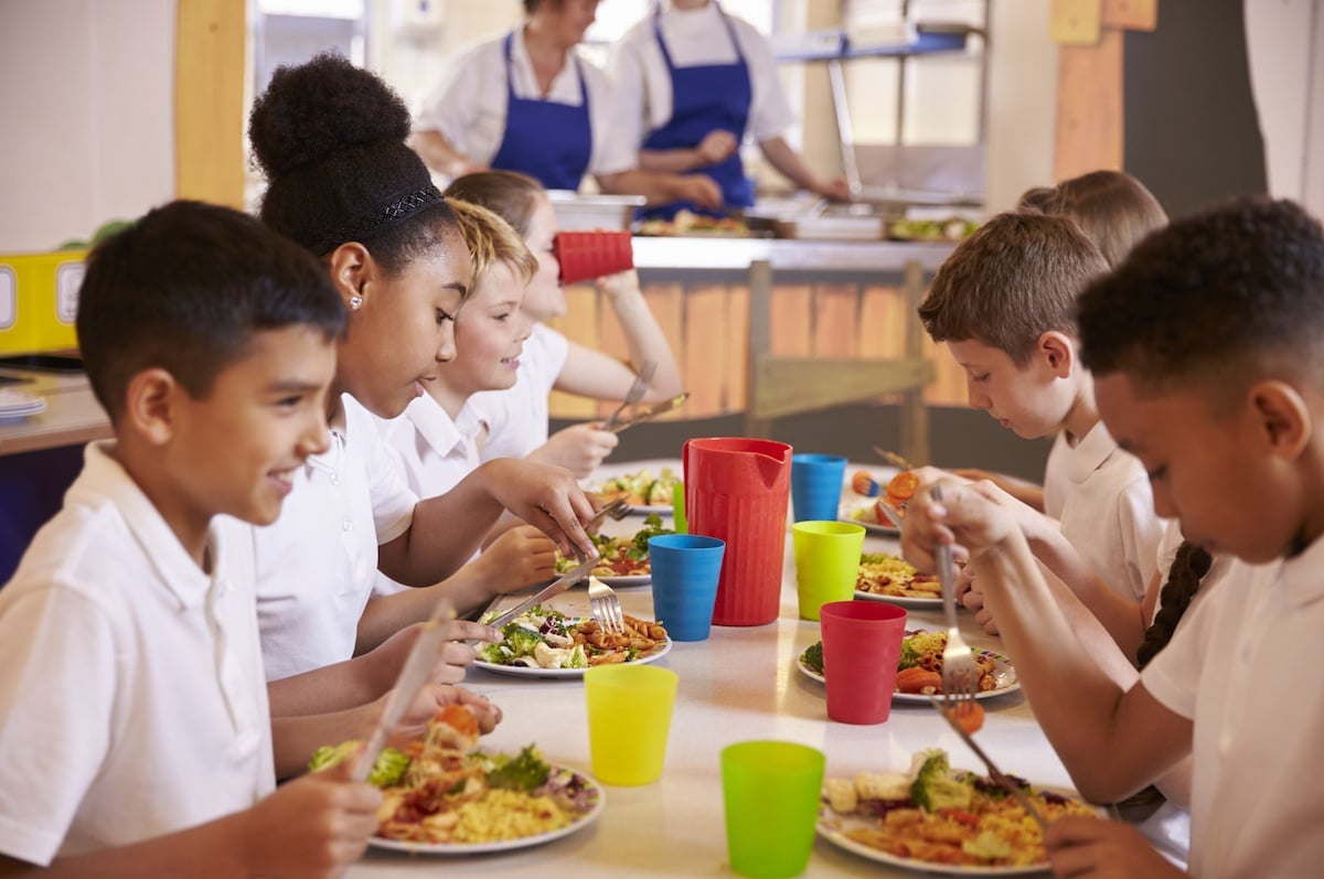 Block Grants Potential Impact On The National School Lunch Program